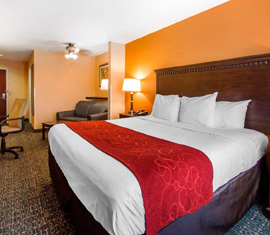 Suite King Bed Suite King Bed